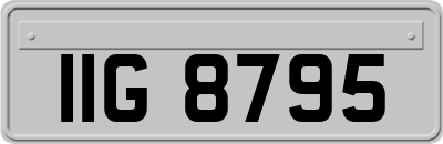 IIG8795