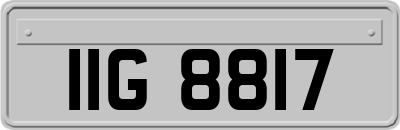 IIG8817