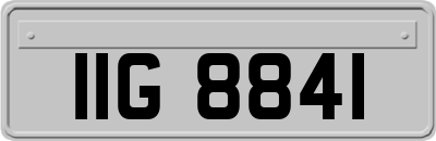 IIG8841