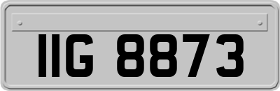 IIG8873