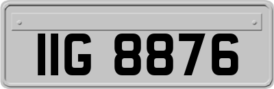 IIG8876