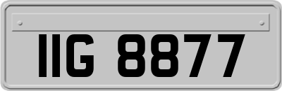 IIG8877