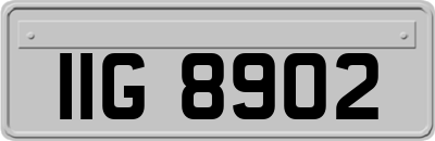 IIG8902