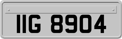 IIG8904