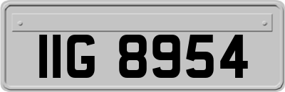 IIG8954