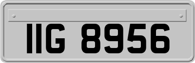 IIG8956