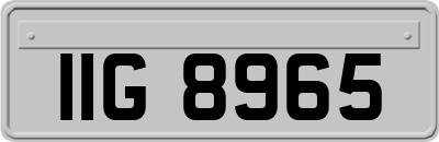 IIG8965