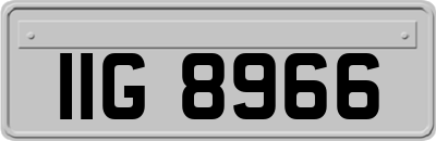 IIG8966
