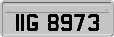 IIG8973