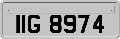 IIG8974
