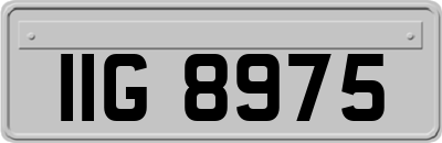 IIG8975