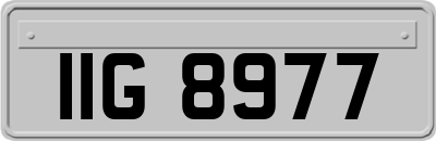 IIG8977