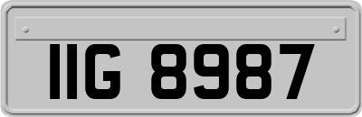 IIG8987