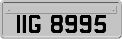 IIG8995