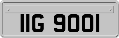 IIG9001