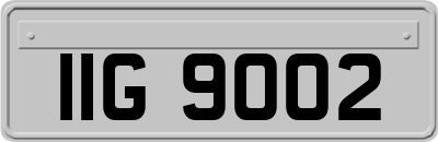 IIG9002