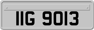 IIG9013