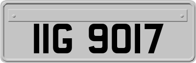 IIG9017