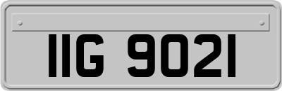 IIG9021