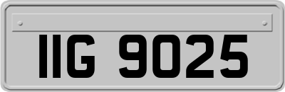 IIG9025
