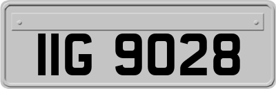 IIG9028