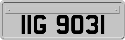 IIG9031