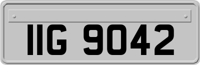 IIG9042