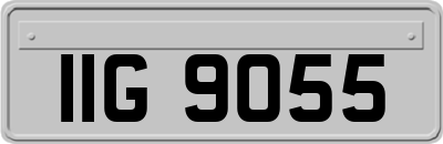 IIG9055