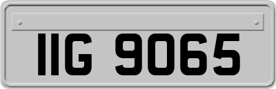 IIG9065