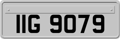 IIG9079