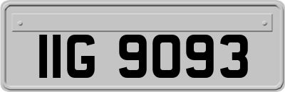 IIG9093