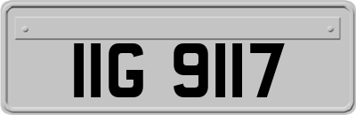IIG9117