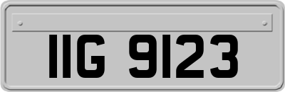 IIG9123