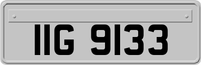 IIG9133