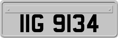 IIG9134