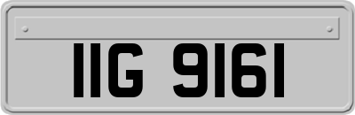 IIG9161