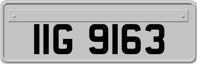 IIG9163