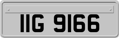IIG9166