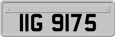 IIG9175