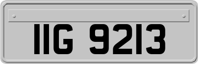 IIG9213