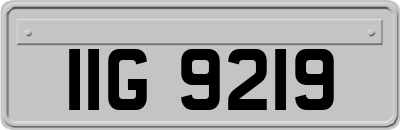 IIG9219