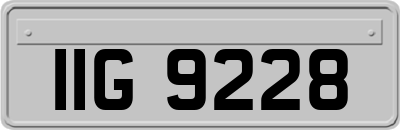 IIG9228
