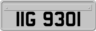 IIG9301