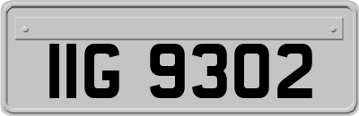 IIG9302