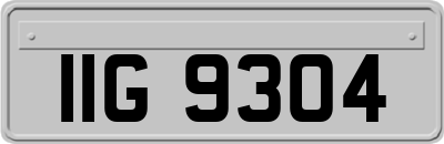 IIG9304