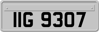 IIG9307
