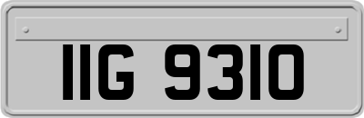 IIG9310