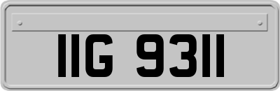 IIG9311