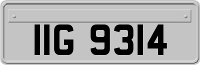 IIG9314