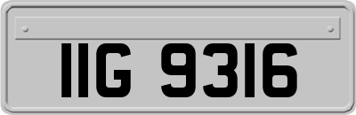 IIG9316